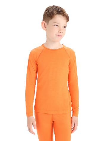 Long Sleeve Icebreaker Merino 200 Oasis Crewe Thermal Top Enfant Orange | FR 1942GSOL